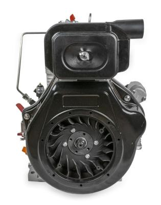 Vorskla ПМЗ 192F-496DS/25